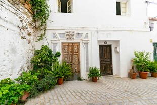 白色庭院中的绿植与木门