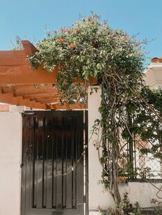 白色建筑旁的绿植铁艺门