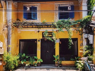 黄色小屋的绿植环绕景致