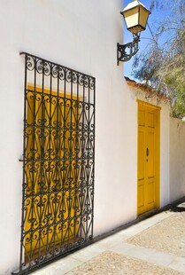 铁艺门与黄门的庭院景致