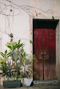 老旧红门前的绿植景致