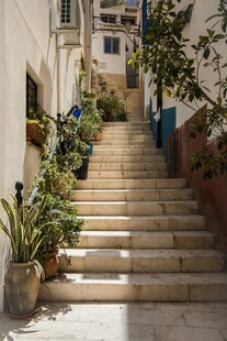 地中海风情的绿植石阶小巷