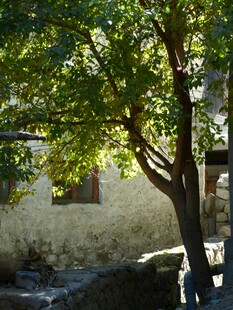 阳光下的绿树与古朴建筑