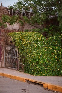 爬满绿植的古朴庭院大门