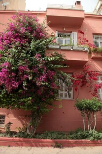 粉色建筑旁绽放的繁茂花卉