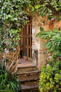 古朴庭院木门与绿植环绕