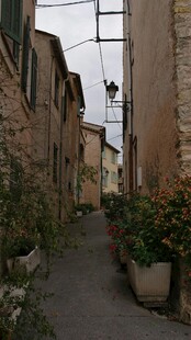 古朴小巷的绿植景致