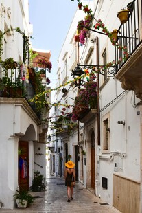 白色小巷中的浪漫花卉景观