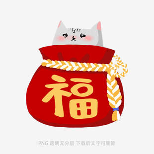 福袋中的可爱猫咪