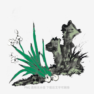 兰花