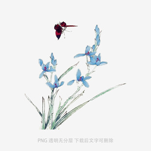 兰花