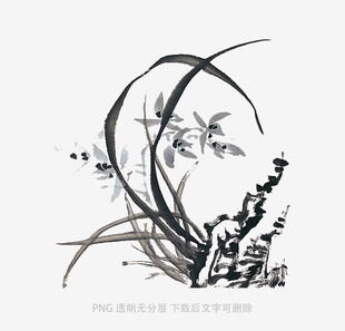 兰花
