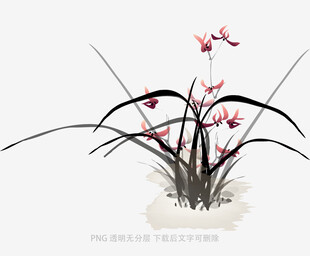 兰花
