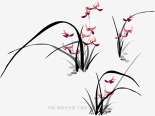 兰花