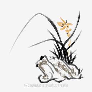 兰花