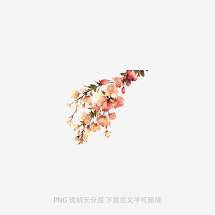 一枝繁花绽放
