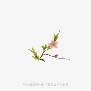 一枝粉嫩桃花枝