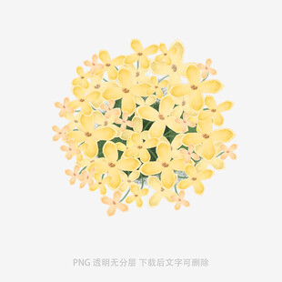 黄色花朵簇拥的美丽图案