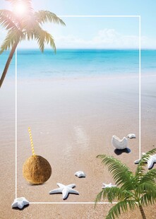 夏日海滩椰影海星美景