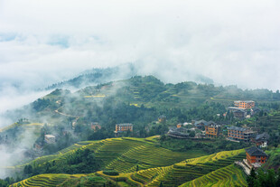 云雾缭绕的山间梯田美景