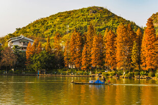 秋日湖畔美景