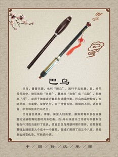 巴乌