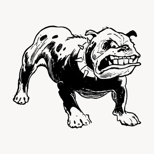 斗牛犬