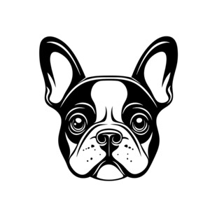 斗牛犬