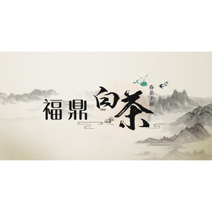 福鼎白茶