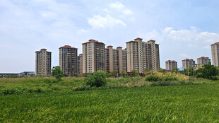 田野旁的高楼建筑群