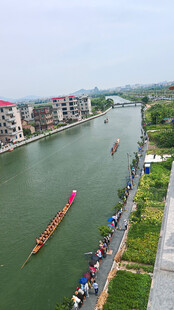 河岸龙舟竞渡热闹场景