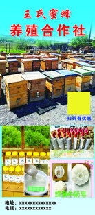 蜂蜜养殖展架