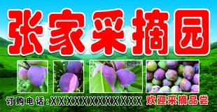 采摘园