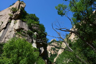 峻峭山峰与葱郁林木