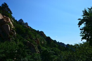 青山绿树间的嶙峋山石