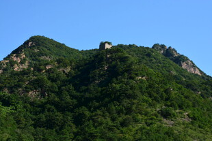 青山巍峨 绿意盎然的山峰