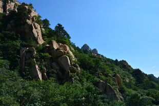 峻峭山峦绿意浓