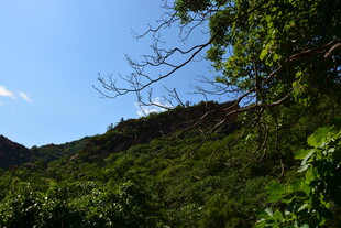青山绿树间的蓝天美景