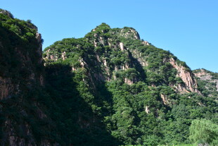 巍峨青山绿意浓