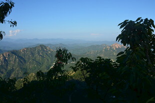 山峦丛林间的壮美景色