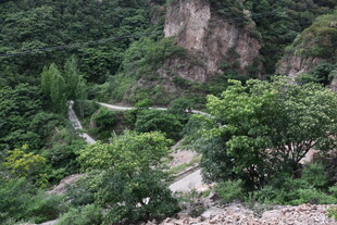 山间蜿蜒小路 绿意盎然