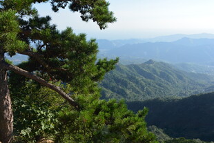 山林远眺美景