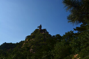 山顶建筑隐于葱郁山林