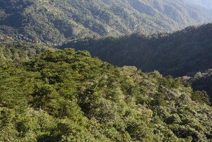 翠绿山峦美景