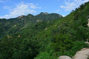 青山葱郁间的山间小径