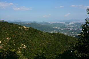 山峦葱郁间的开阔景致
