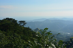 山巅绿意与远方山峦