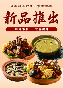 新品推出