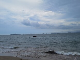 大海