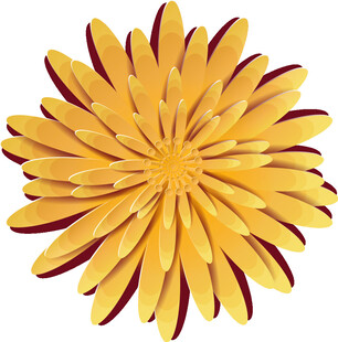 黄色花瓣花朵图案